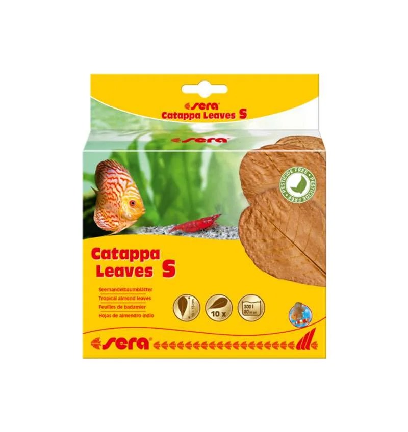 Sera Catappa Leaves S 10Pcs For Modern Homes