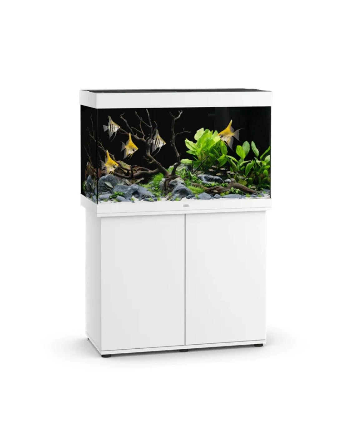 Juwel Rio 290 Led Aquarium Kit Aquarium Set For Modern Homes