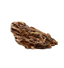 Alveolate Aquarium Rock 8211 Middium 18 23Cm Approx. 1.8 2 Kg Per Piece