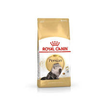 Royal Canin Persian Adult Dry 400G For Modern Homes