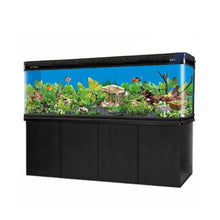 Boyu Modern Aquarium With Cabinet For Modern Homes