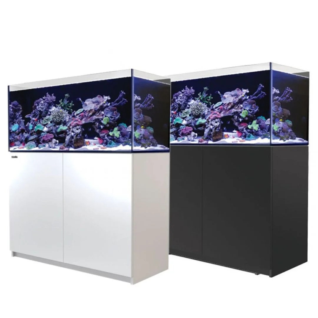 Red Sea Reefer 425 G2
