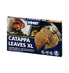 Hobby Catappa Leaves Xl 12 Pcs.