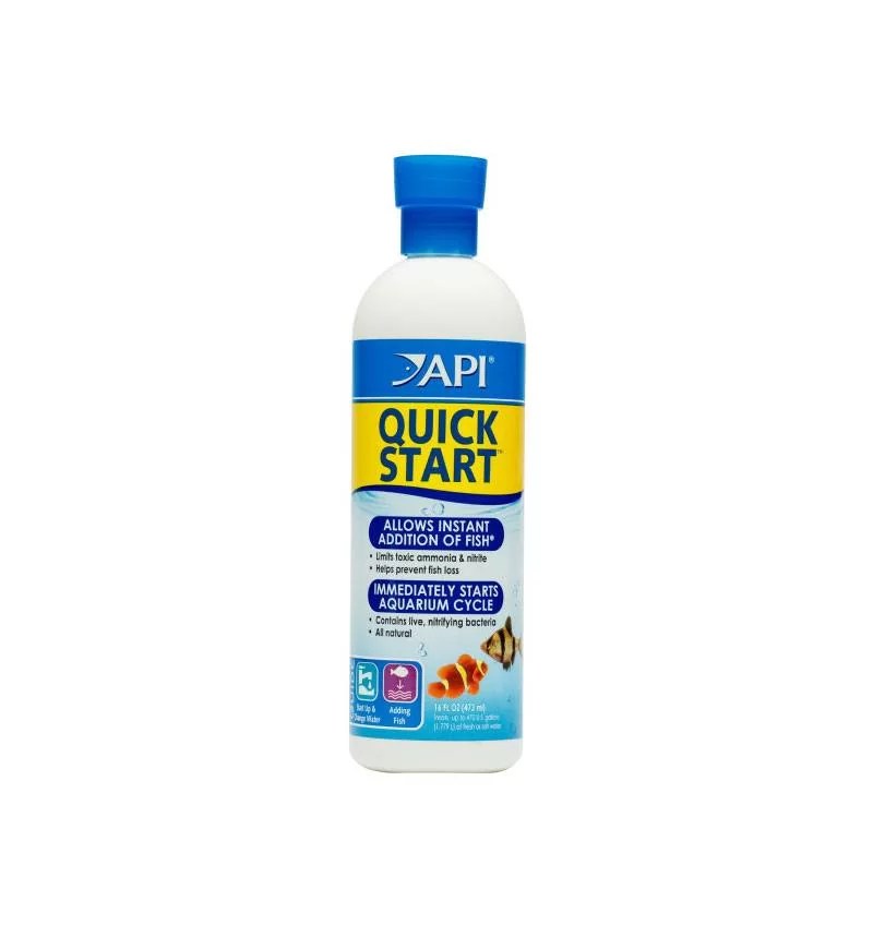 Api Quick Start
