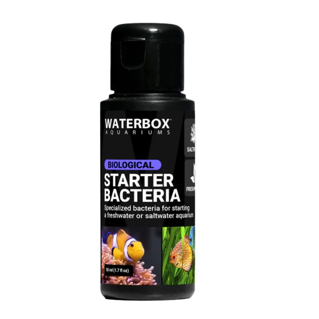 Waterbox Starter Bacteria 50Ml