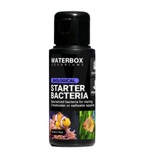 Waterbox Starter Bacteria 50Ml