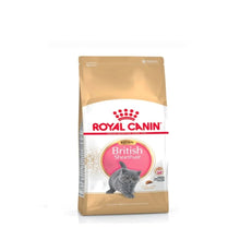 Royal Canin Feline Breed Nutrition British Shorthair Kitten 2 Kg For Modern Homes