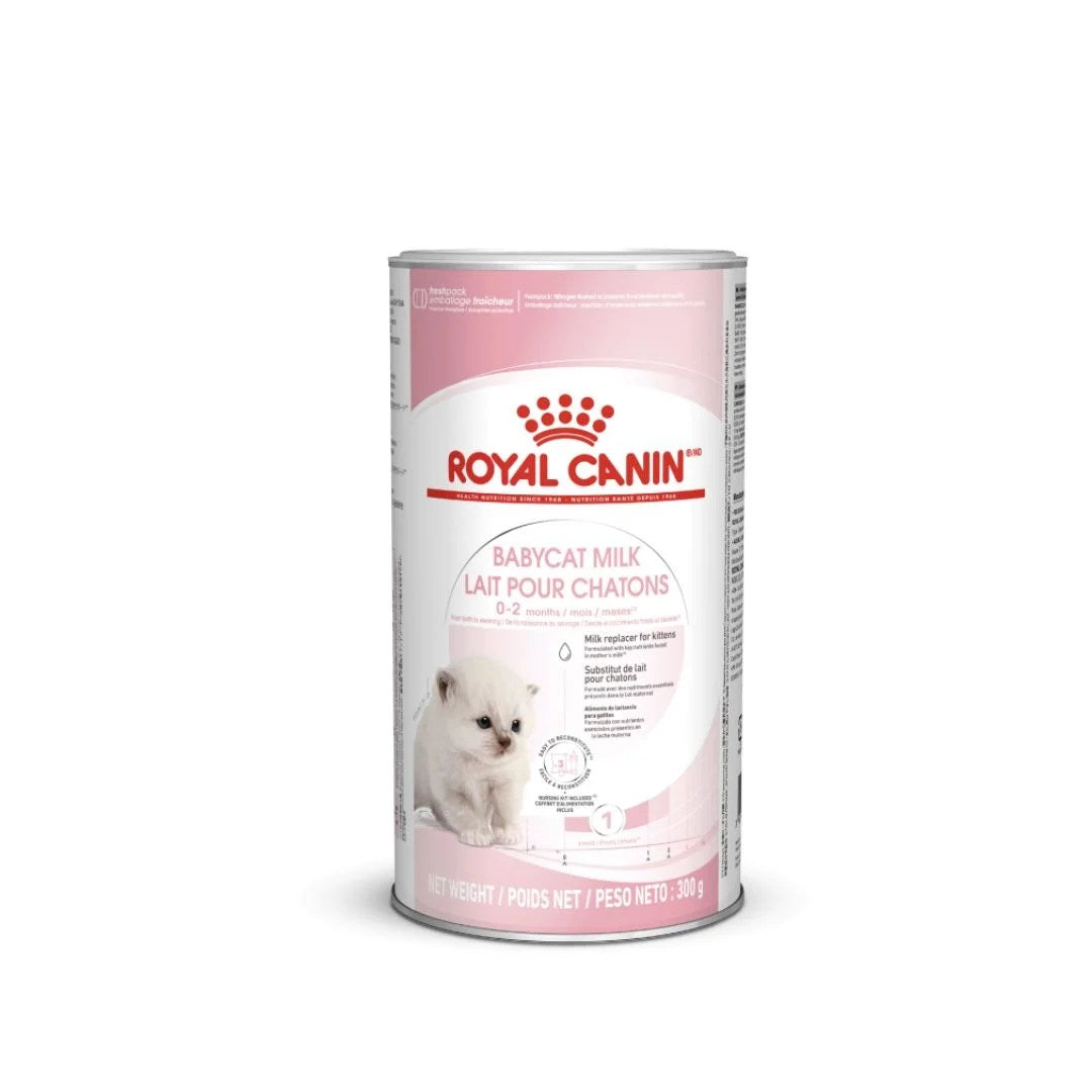 Royal Canin Feline Health Nutrition Babycat Milk 300 G For Modern Homes