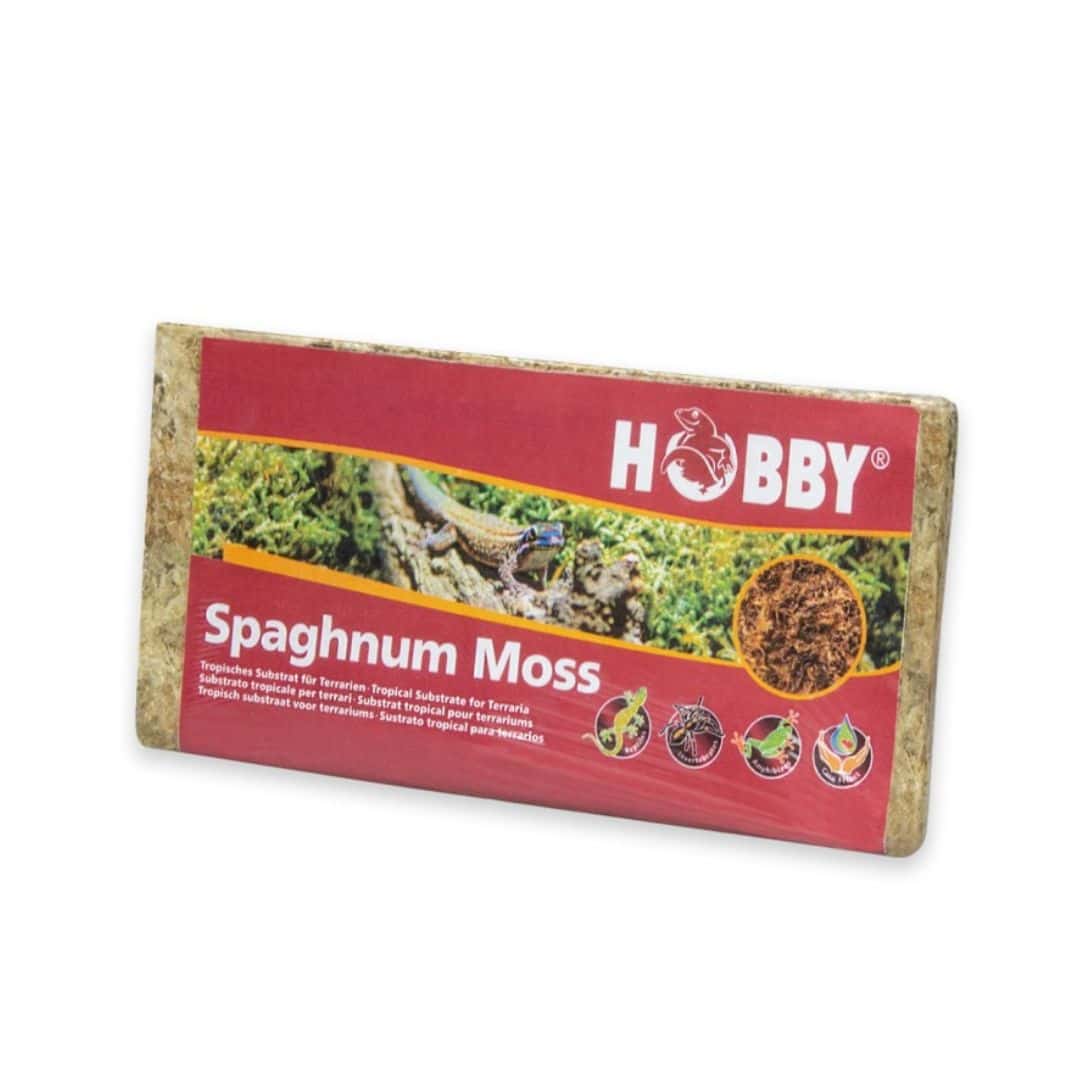 Hobby Spaghnum Moss 100G