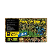 Exo Terra Forest Moss