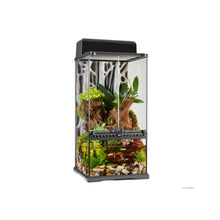 Exo Terra Advanced Paludarium Amp Rainforest Terrarium 8211 Mini X Tall 8211 30 X 30 X 60 Cm