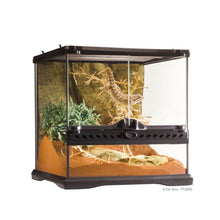 Exo Terra Natural Terrarium Mini Wide 30 X 30 X 30Cm For Modern Homes