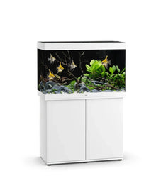 Juwel Rio 290 Led Aquarium Kit Aquarium Set For Modern Homes