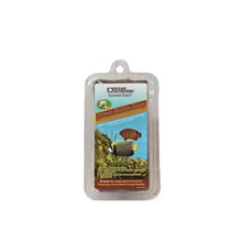Ocean Nutrition Brown Seaweed 12G For Modern Homes