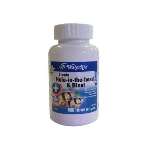 Waterlife Octozin 21 Tabs Treats Hole In The Head Amp Bloat For Modern Homes