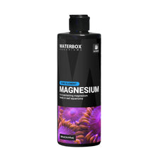 Waterbox Magnesium 500Ml For Modern Homes