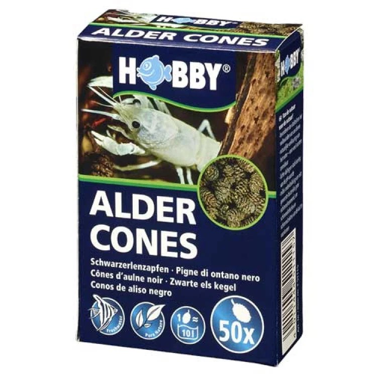 Hobby Alder Cones
