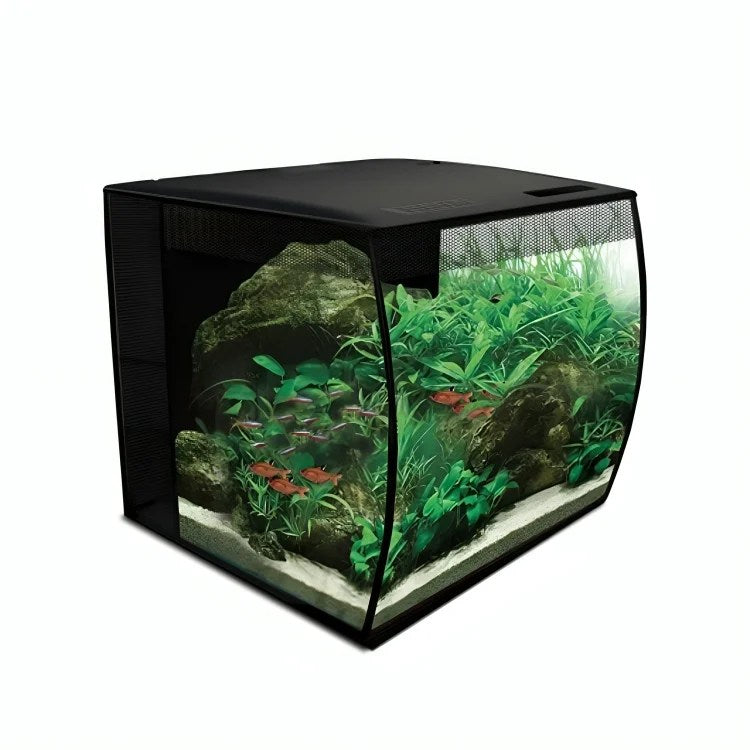 Fluval Flex Aquarium 8211 57L For Modern Homes
