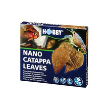 Hobby Nano Catappa Leaves For Modern Homes