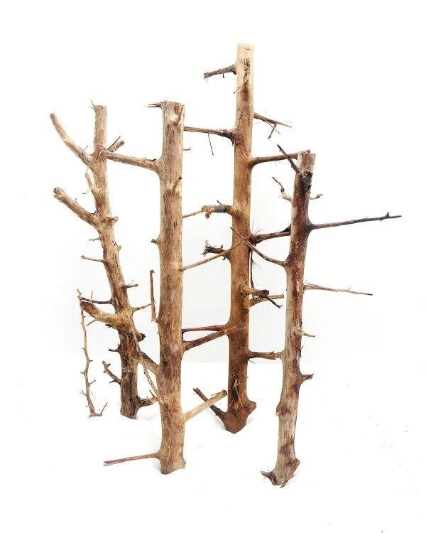 Long Hands Wood 30 45Cm