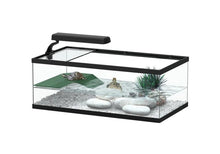 Terratlantis Tortum Turtle Tank 55