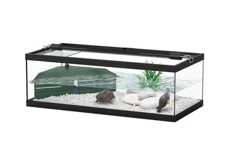Terratlantis Tortum Turtle Tank 75 – Dreamworld Flowers & Aquarium Fish